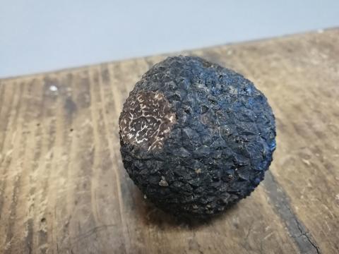 JUS DE TRUFFES NOIRES DU PÉRIGORD, Tuber mélanosporum, 1ère ébullition,  dont 20 g de truffe noire net égoutté