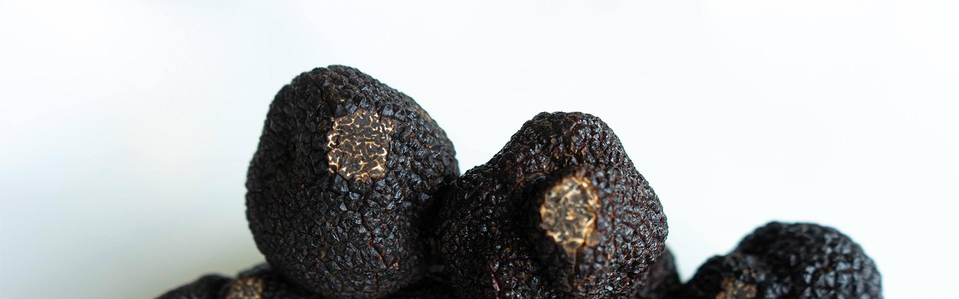 Truffes Noires Fraîches De France (Périgord Noir) – Conzept Caviar